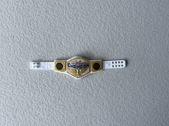 Women’s United States WWE Title Belt Loose Figure Accessory Mattel Showdown