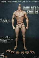 ZC Toys 12″ Muscular Male Action Figure Body Fit 1/6 Scale Hot Toys Head Sculpt