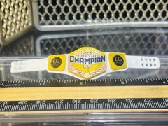 WWE Mattel Women’s United States Title Belt For Wrestling figure Belt Toy U.S.