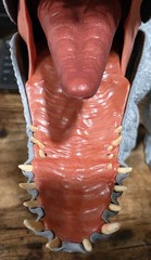 CUSTOM Jurassic World Hammond Collection Indominus Rex Figure
