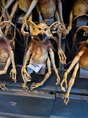 Disney Star Wars Salacious B. Crumb Monkey Lizard Shoulder Figure Galaxys Edge