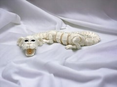 Falkor | The NeverEnding Story | Falcor | The Luck Dragon from the 80’s classic