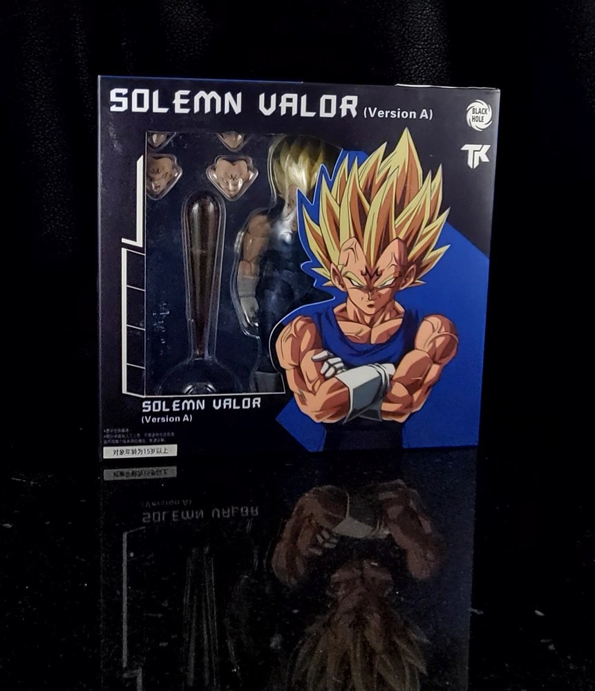 Black Hole Toys x TK Customs Majin Vegeta Solemn Valor Version A US Seller