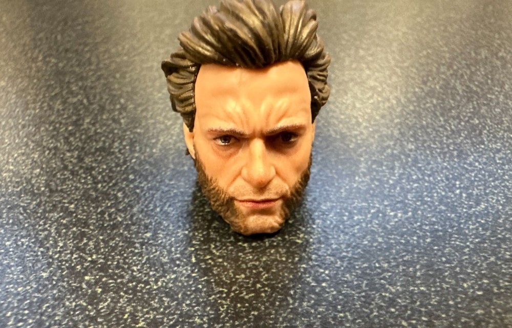 Hasbro Marvel Legends 6″ Scale DEADPOOL LOGAN (WOLVERINE HEAD ONLY) MINT X-MEN