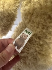 Ted Movie 24” Talking Plush Teddy Bear R Rated 1:1 Life Size New In Box Explicit