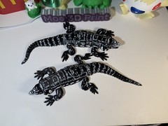 3D Printed Articulated Tegu Lizard Large Articulated Collectable Toy Gift