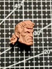 1/12 1/4 1/6 1/18 Unpainted Bro. Brock Samson Head Carved Model Toys