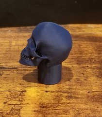 Custom 3d printed 1/6 skull head sculpt in multiple colors