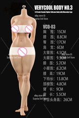 VERYCOOL VCD-03 1/6 Female Fighter Seamless Body Muscular Leg 12” Plump Figure