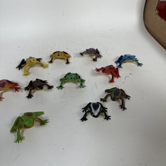 Lot 11 Frog Action Figures Wildlife Animal Toys Amphibian Rainforest Dart G
