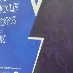 Black Hole Toys Solemn Valor B Majin Vegeta Action Figure
