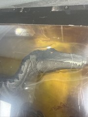 Baryonyx Jurassic World Fallen Kingdom Hammond Collection Jurassic Park Retired