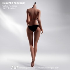 ANT T302 1/6 Female Makeup Seamless Body Copper Suntan Large Bust For 12″ Figure