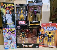 Marvel Legends Phoenix, Gambit, Storm, Mystique, 2 Wolverine