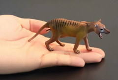 1/6 Simulation Thylacine Animal Model For 12″Action Scene 10.2*4.7cm