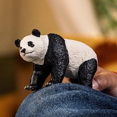 schleich 14885 Giant Panda, from 3 years WILD LIFE – Figurine, 4 x 10 x 6 cm