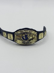 Mattel WWE United States & Intercontinental Championship Lot Title Belt 2011