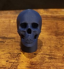 Custom 3d printed 1/6 skull head sculpt in multiple colors