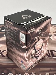 POP MART x Skullpanda Image of Reality Series Confirmed Figure Toy Sealed Bag