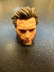 Hasbro Marvel Legends 6″ Scale DEADPOOL LOGAN (WOLVERINE HEAD ONLY) MINT X-MEN