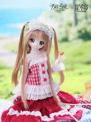 Unveiled Door Syncy Land OOTD 22.5cm/8.8In Bjd Doll Dressable Action Figure Gift