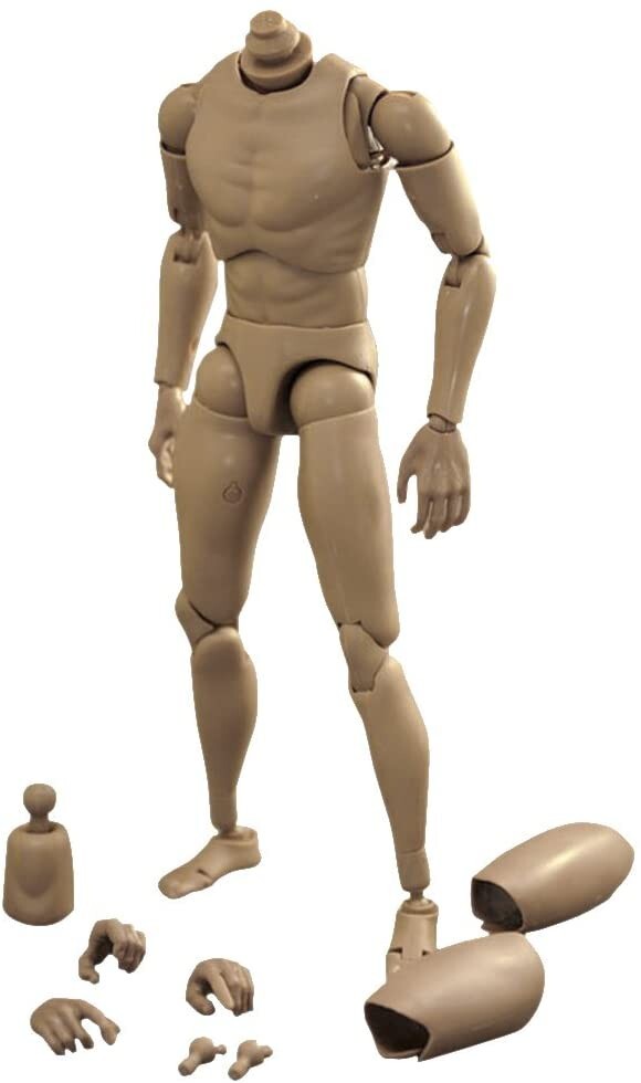 New 1:6 Scale Narrow Shoulder Male Body Action Figure for TTM18 TTM19 USA