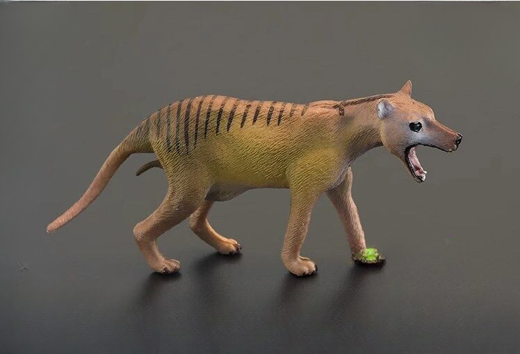 1/6 Simulation Thylacine Animal Model For 12″Action Scene 10.2*4.7cm