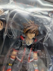 Kai Sora Ver.2 DX Edition, PVC Pre-Painted Action Figure
