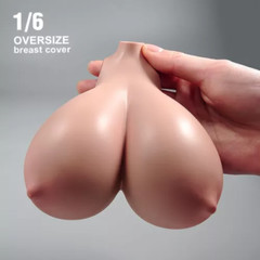 1/6 Female E-H Big Huge Breast Cover Replacement Model For12”PH TBL Figure Doll
