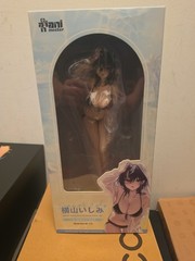Ishimi Yokoyama 1/6 Scale Bikini Figure