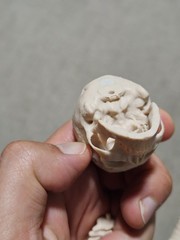 Custom 1/4 UNPAINTED Skull Spine Throphy For Neca Predator Bloody Gore Version