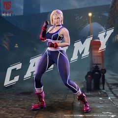 New STAR MAN MS-012 12″ 1/6 Action Figure Street Girl Female Fighter Cammy