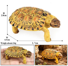 Pancake Tortoise Toy Action Figure Small Animal Figurine Doll Gift for Kids