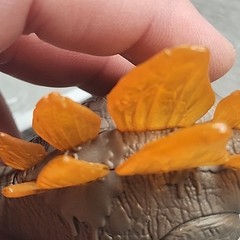 Collectible Stegosaurus Dinosaurs 5″ Toy Figure – Dino Fun for Kids!