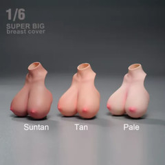 1/6 Female E-H Big Huge Breast Cover Replacement Model For12”PH TBL Figure Doll