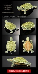 The Diversity of Life on Earth Advance Turtle 02 w/ Display Stand Bandai Online