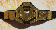 Mattel WWE Elite WCW United States Championship Title Belt Shiny US nWo Ultimate