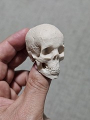 Custom 1/4 UNPAINTED Skull Spine Throphy For Neca Predator Bloody Gore Version