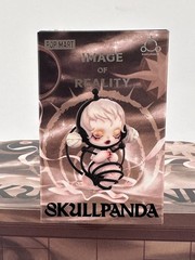 POP MART x Skullpanda Image of Reality Series Confirmed Figure Toy Sealed Bag