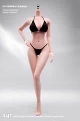 US 1:6 Pale Skin Medium Breast Female Makeup Seamless Figure Body With detail