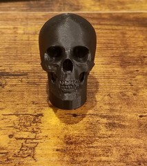 Custom 3d printed 1/6 skull head sculpt in multiple colors