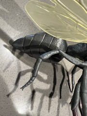 Marvel Infinite Series Avengers Antman Figure and Flying Ant Figure 2015 Loose