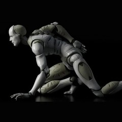 1/6 synthetic Human by TOA Heavy Industries (5th production run) 1000toys NIB