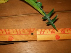 Vintage Dor Mei UKRD Dinosaur Figure Large 15” Yellow Green Blue Stegosaurus