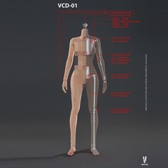 VERYCOOL VCD-02A 1/6 Female Action Figure Body Mid Bust Pale Skin Soldier Model