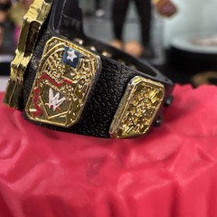 WWE United States Championship Title for Action Figures