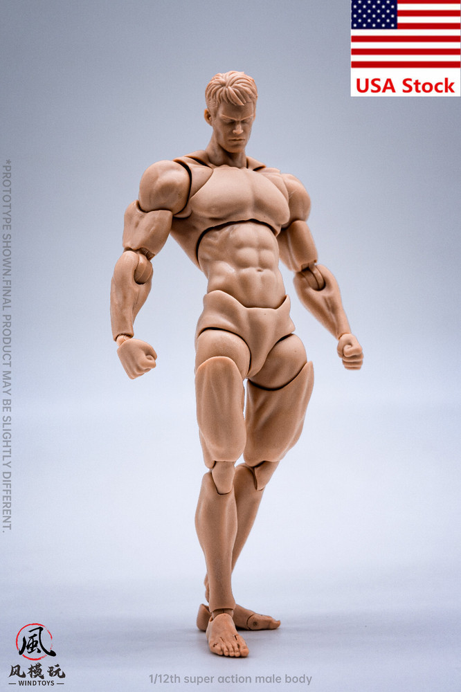 Wind Toys 1/12 Pale Flexible Doll Male Strong 6”Action Figure Joint Body w/Head