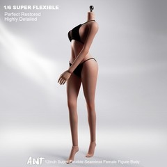 ANT T302 1/6 Female Makeup Seamless Body Copper Suntan Large Bust For 12″ Figure