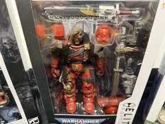 McFarlane Warhammer 40k Lot Space Marines Captain Cyrus Sternguard Grey Hunter