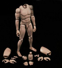 MX02-A 12″ Europe Skin Male Action Figure Body For 1/6 Head Sculpt Model Toy US